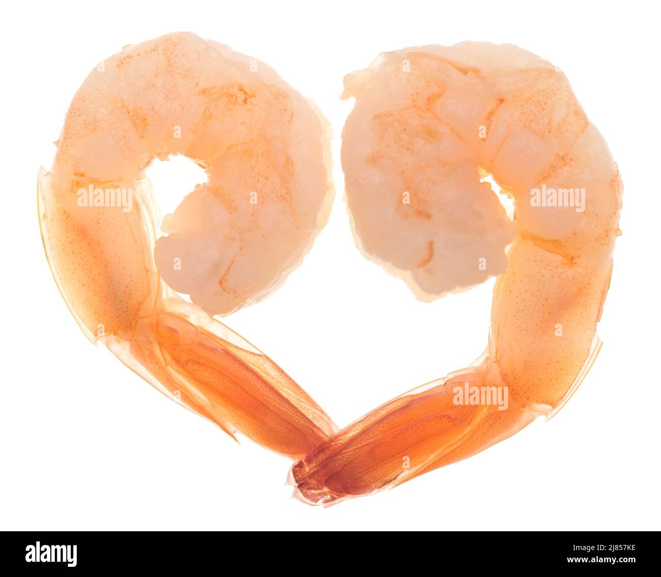 Shrimp heart isolated on white background Stock Photo - Alamy