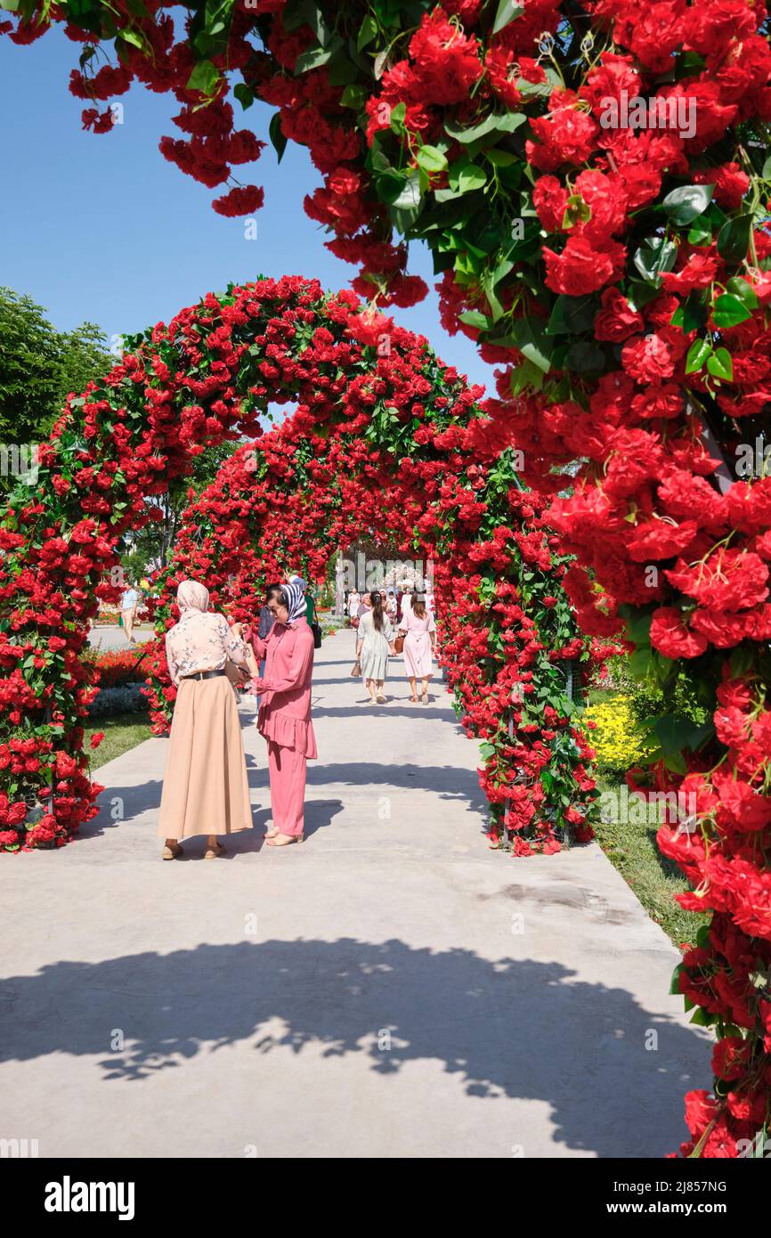 Fake plant arch hires stock photography and images Alamy