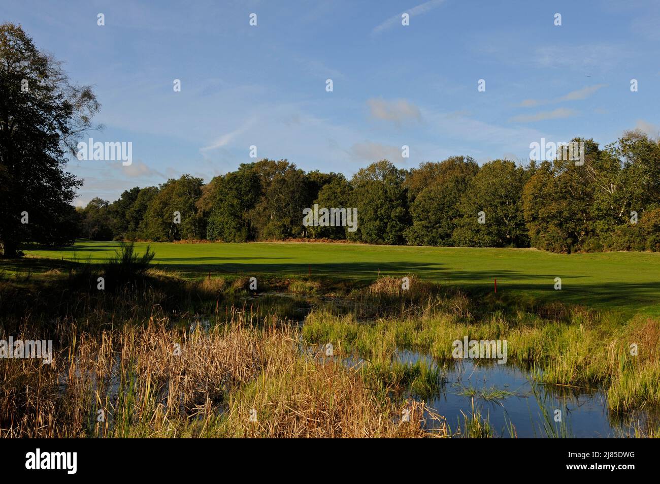 View over pond back down the Fairway,14th Hole Blackmoor Golf Club