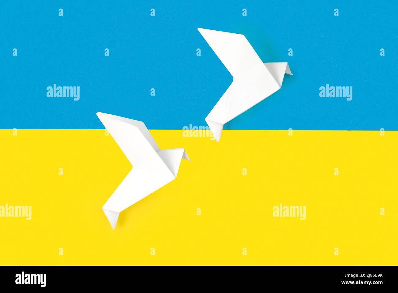 Two white origami paper doves on colors of flag of Ukraine. The concept of peace between two states. Symbol of peace on blue and yellow background. Stock Photo