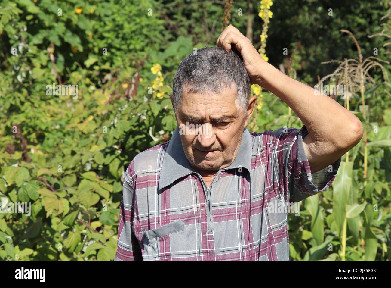 Portrait of elderly man scratches his head standing in summer garden. Concept of life in village, old age Stock Photo