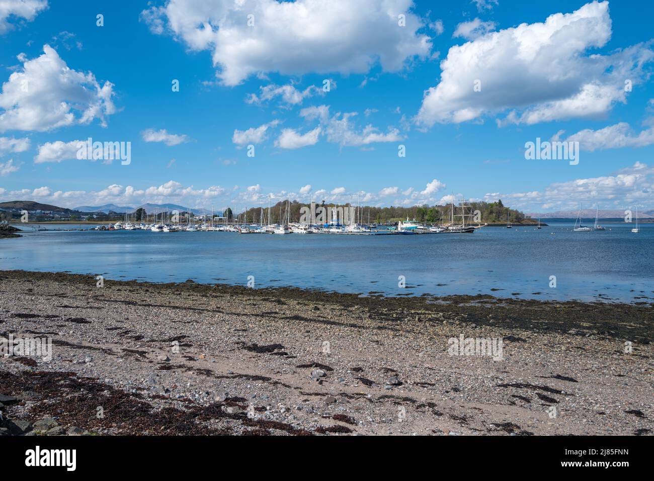 Yachts moored at dunstaffnage marina near oban Stock Photo Alamy