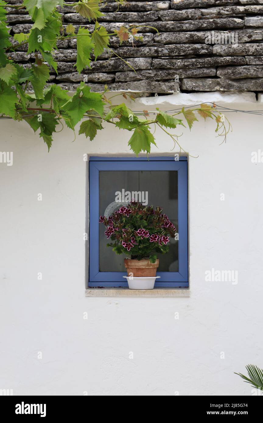 Closeup view of a Trullo house in Alberobello, Italy Stock Photo