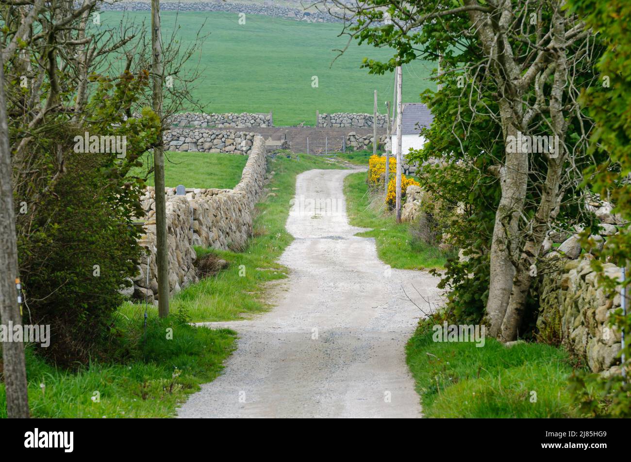 Lane with traditional dry stone walls, common around the Mourne Mountains, Northern Ireland. Stock Photo