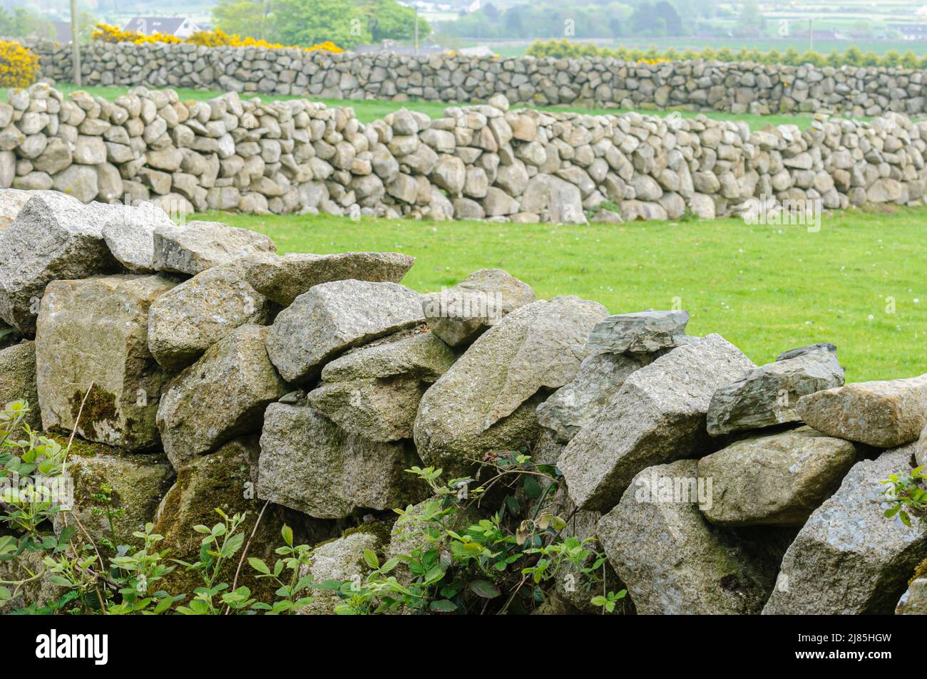 Traditional dry stone walls, common around the Mourne Mountains, Northern Ireland. Stock Photo