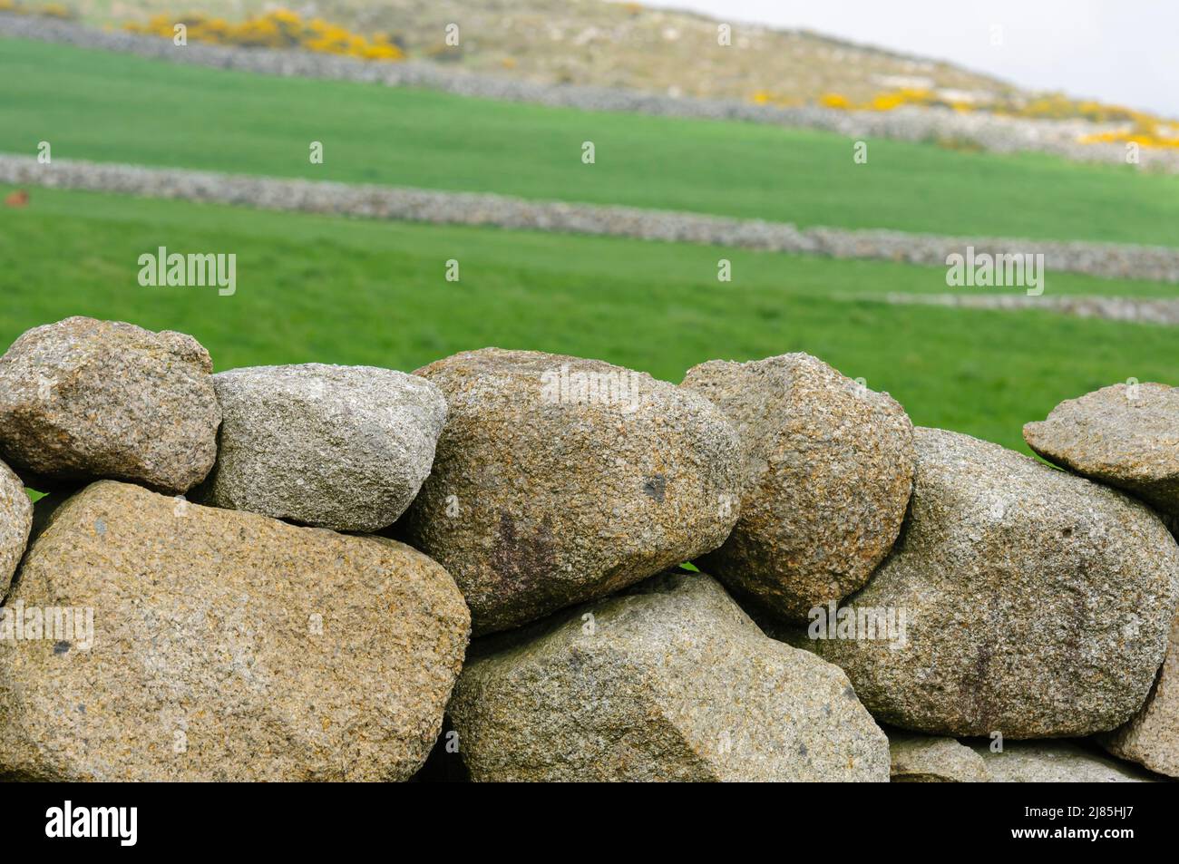 Traditional dry stone walls, common around the Mourne Mountains, Northern Ireland. Stock Photo