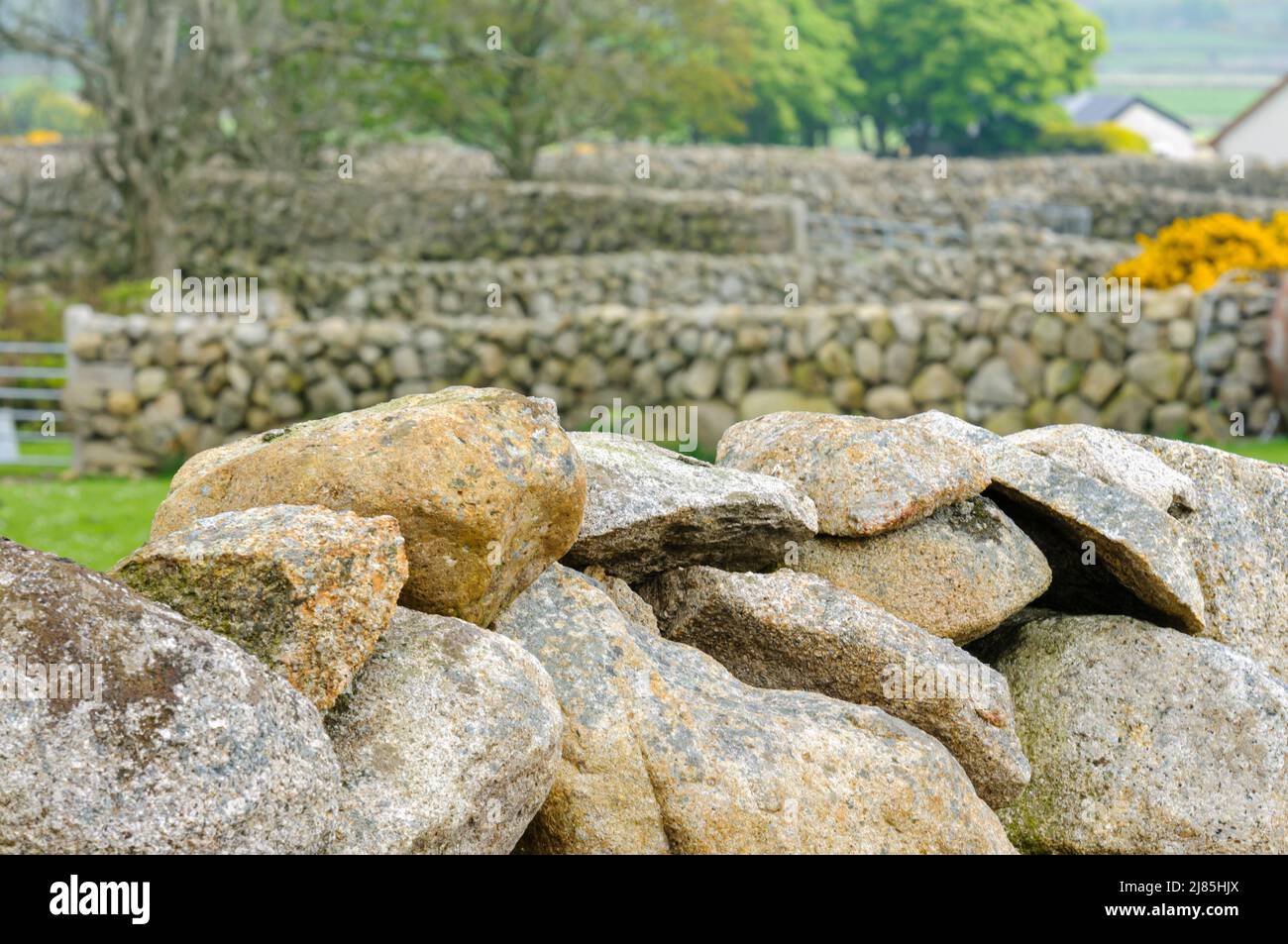 Traditional dry stone walls, common around the Mourne Mountains, Northern Ireland. Stock Photo