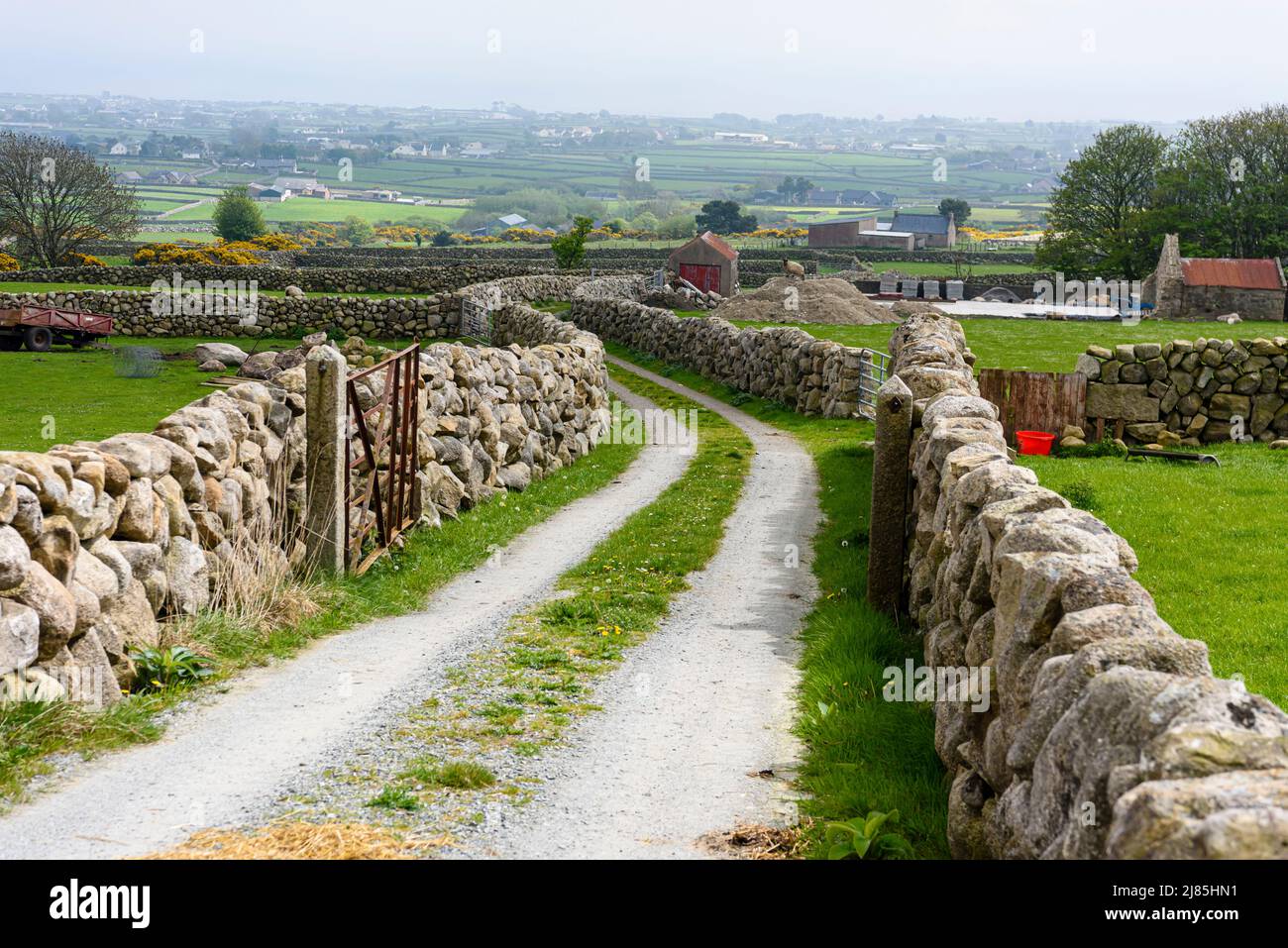 Lane with traditional dry stone walls, common around the Mourne Mountains, Northern Ireland. Stock Photo