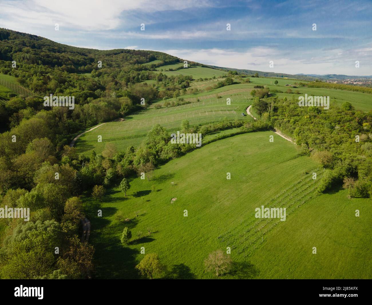 Aerial flight over morning wood hi-res stock photography and images - Alamy