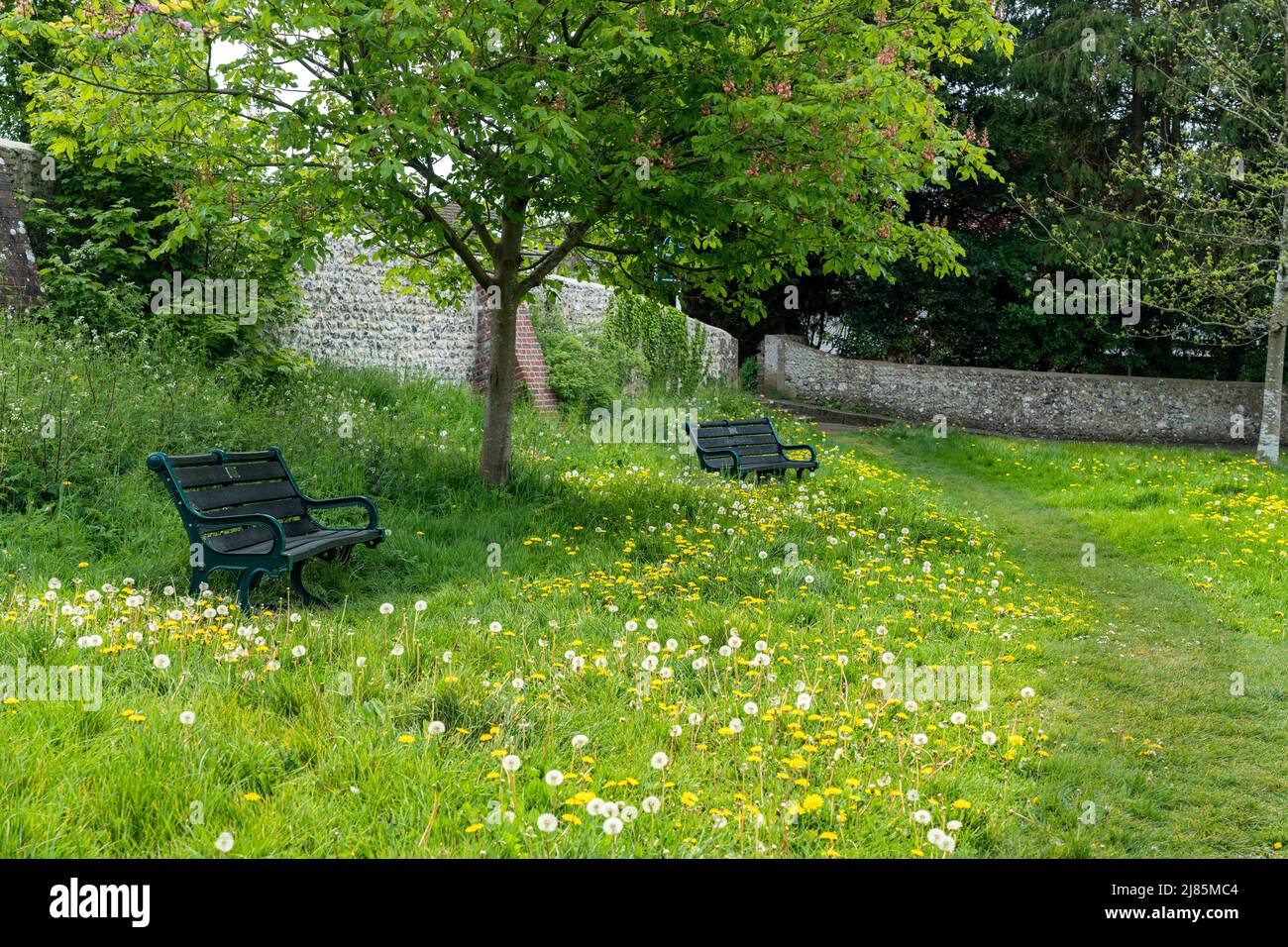 Empty park benches sitting in the grass Stock Photo