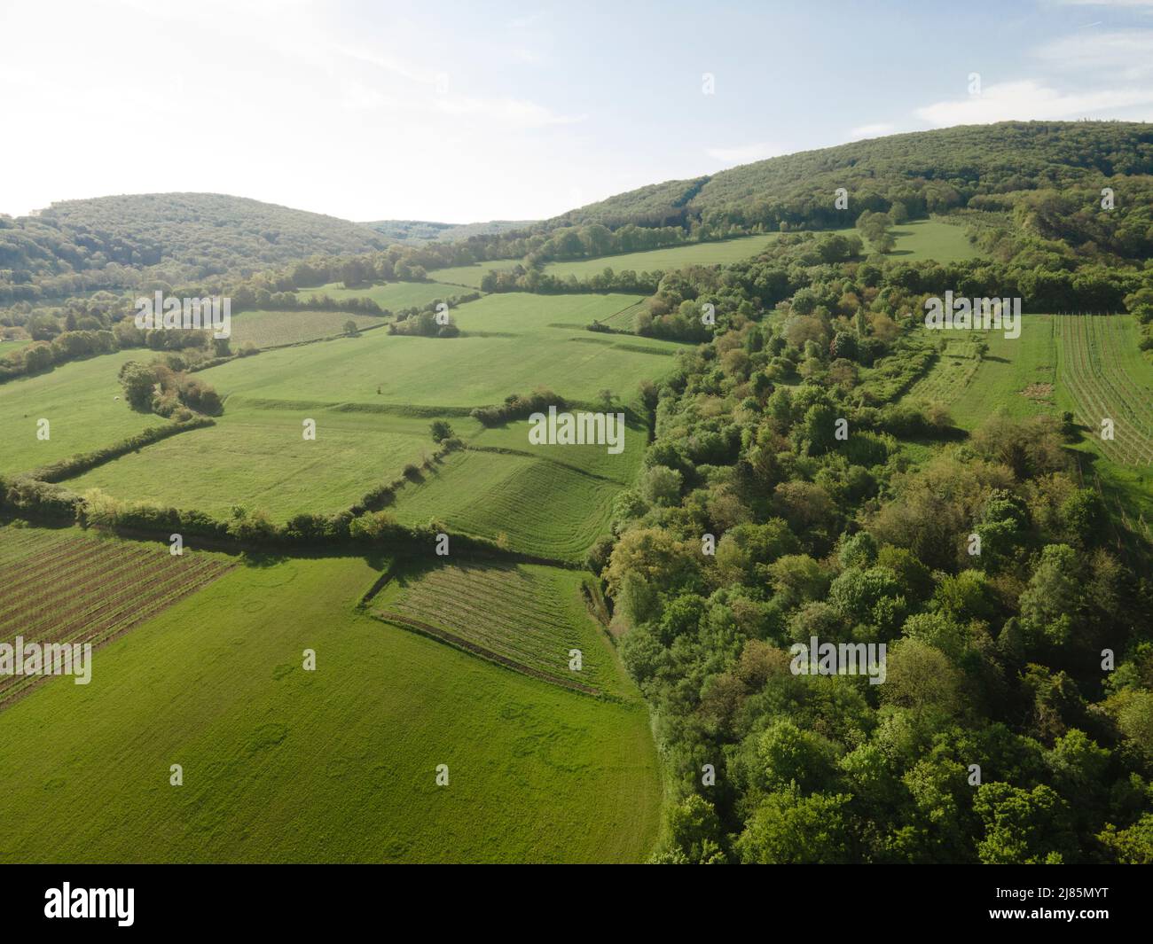 Aerial flight over morning wood hi-res stock photography and images - Alamy