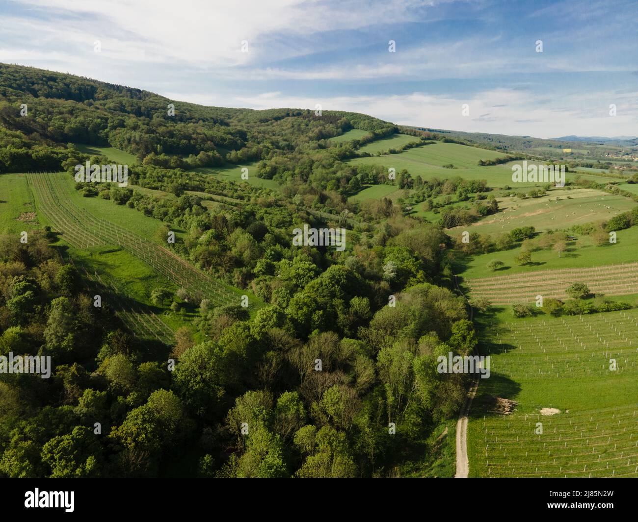 Aerial flight over morning wood hi-res stock photography and images - Alamy