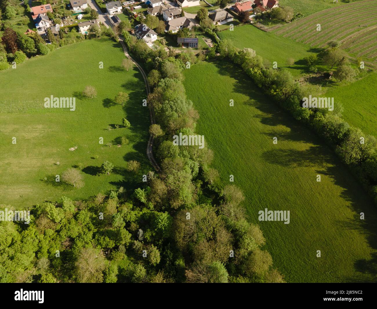 Aerial flight over morning wood hi-res stock photography and images - Alamy