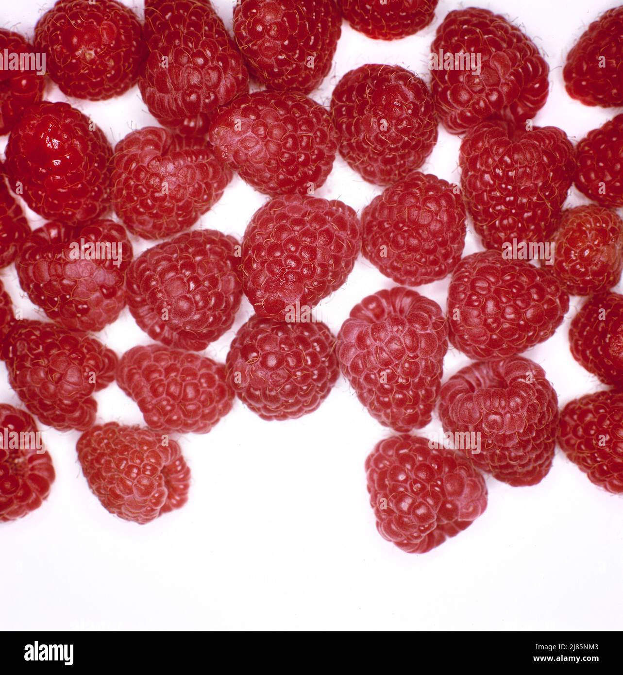 Fresh raspberries isolated on awhite studio background. Stock Photo
