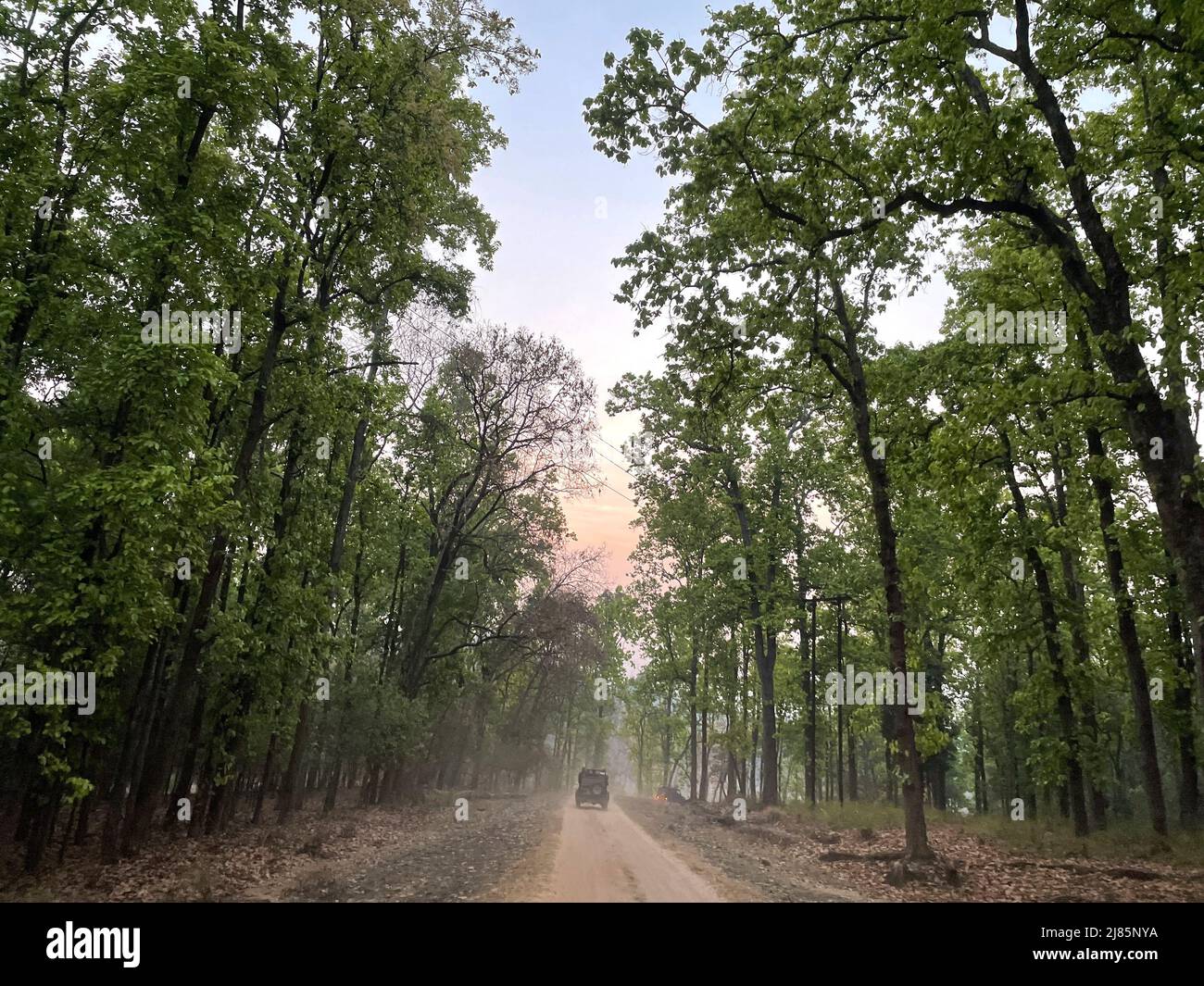 Kanha National Park ( Tiger Reserve ) landscape , located in Madhya