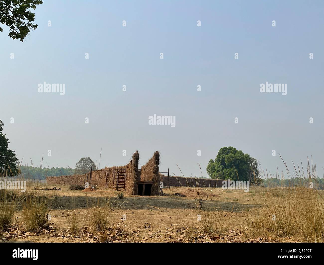 Kanha National Park ( Tiger Reserve ) landscape , located in Madhya