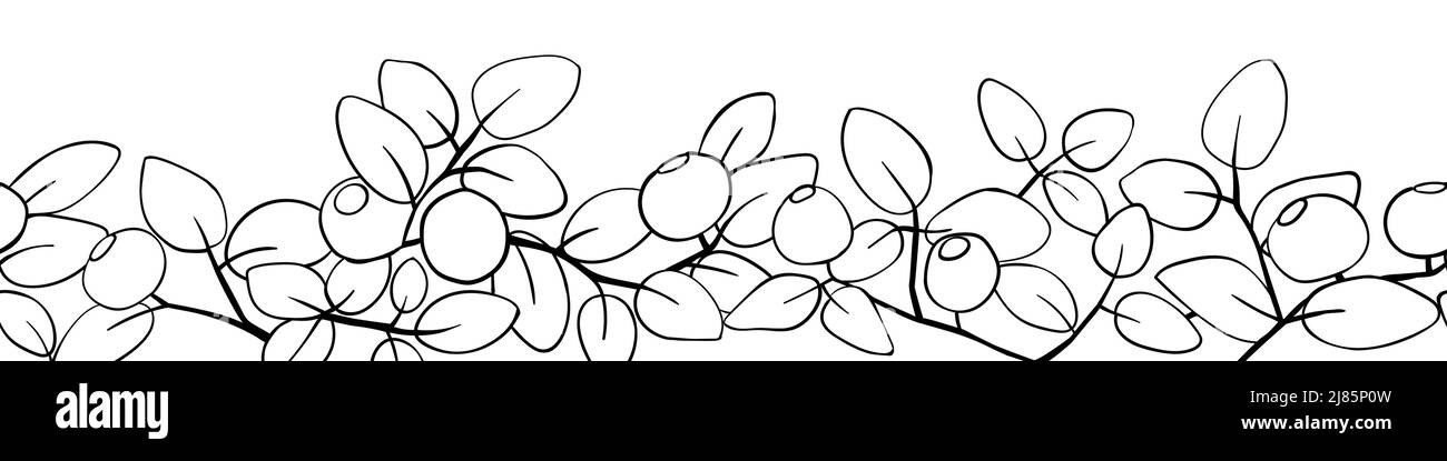 Blueberry branch border. Hand made vector illustration Stock Vector