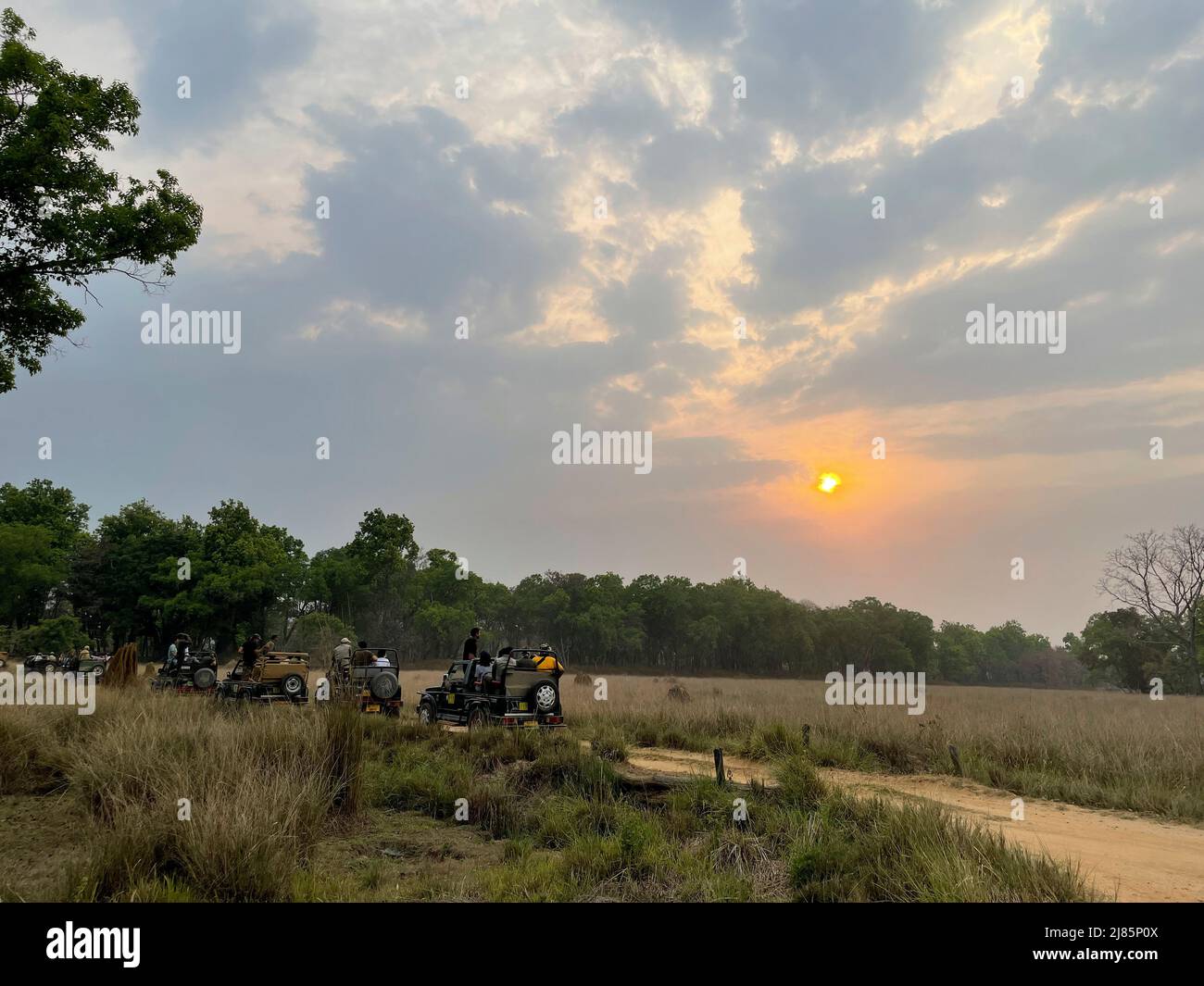 Kanha National Park ( Tiger Reserve ) landscape , located in Madhya Pradesh central India Stock Photo