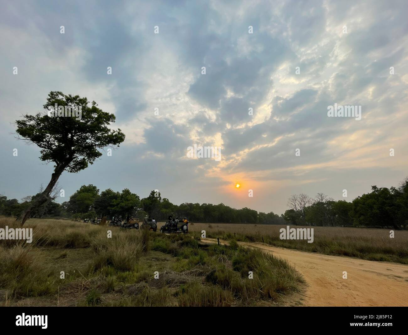 Kanha National Park ( Tiger Reserve ) landscape , located in Madhya