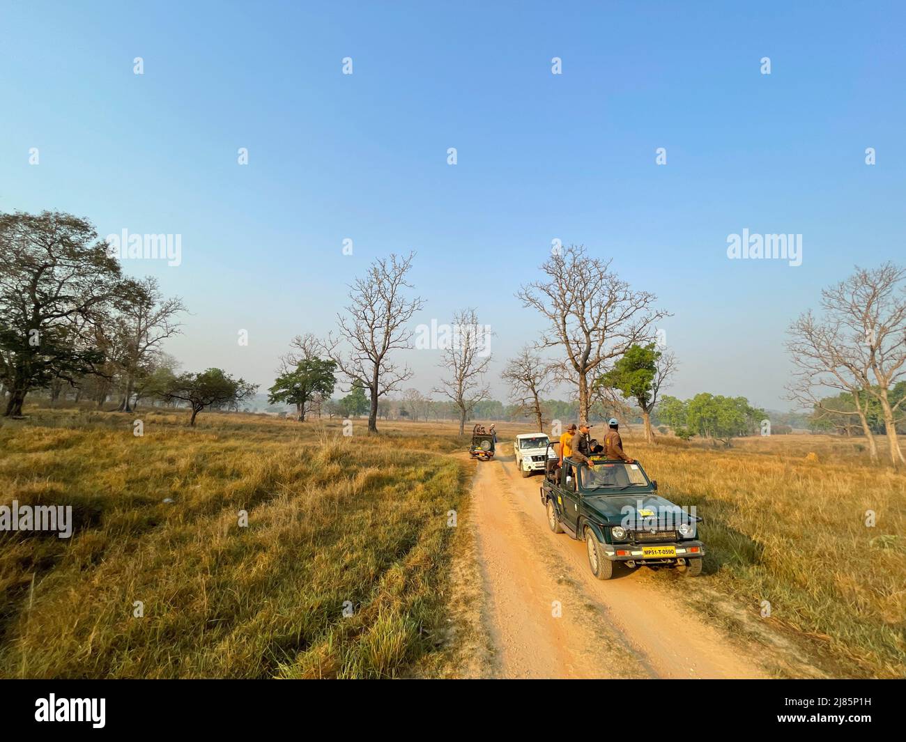 Kanha National Park ( Tiger Reserve ) landscape , located in Madhya