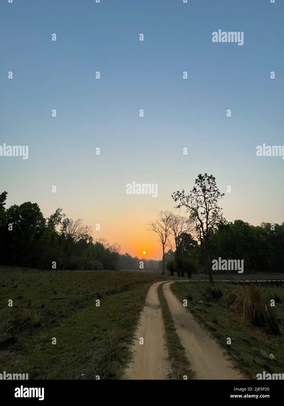 Kanha tiger reserve landscape during hot summer in central India Madhya Pradesh Stock Photo