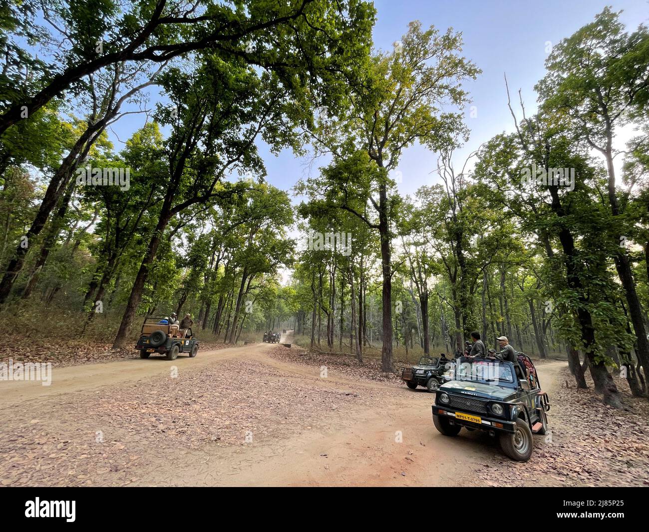 Kanha National Park ( Tiger Reserve ) landscape , located in Madhya Pradesh central India Stock Photo