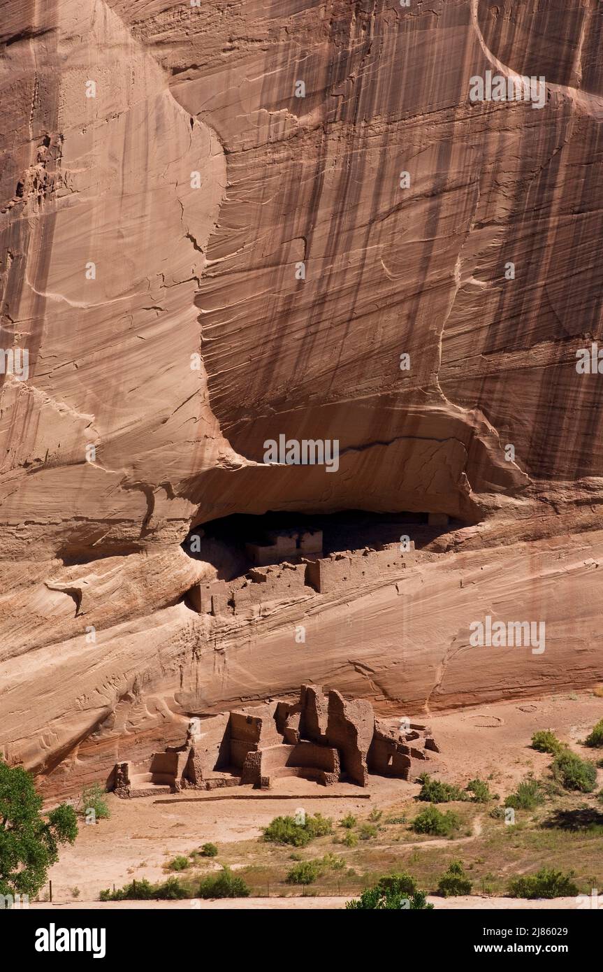 White house Anasazi ruins Canyon de Chelly Arizona USA ; About 1200 A.D
