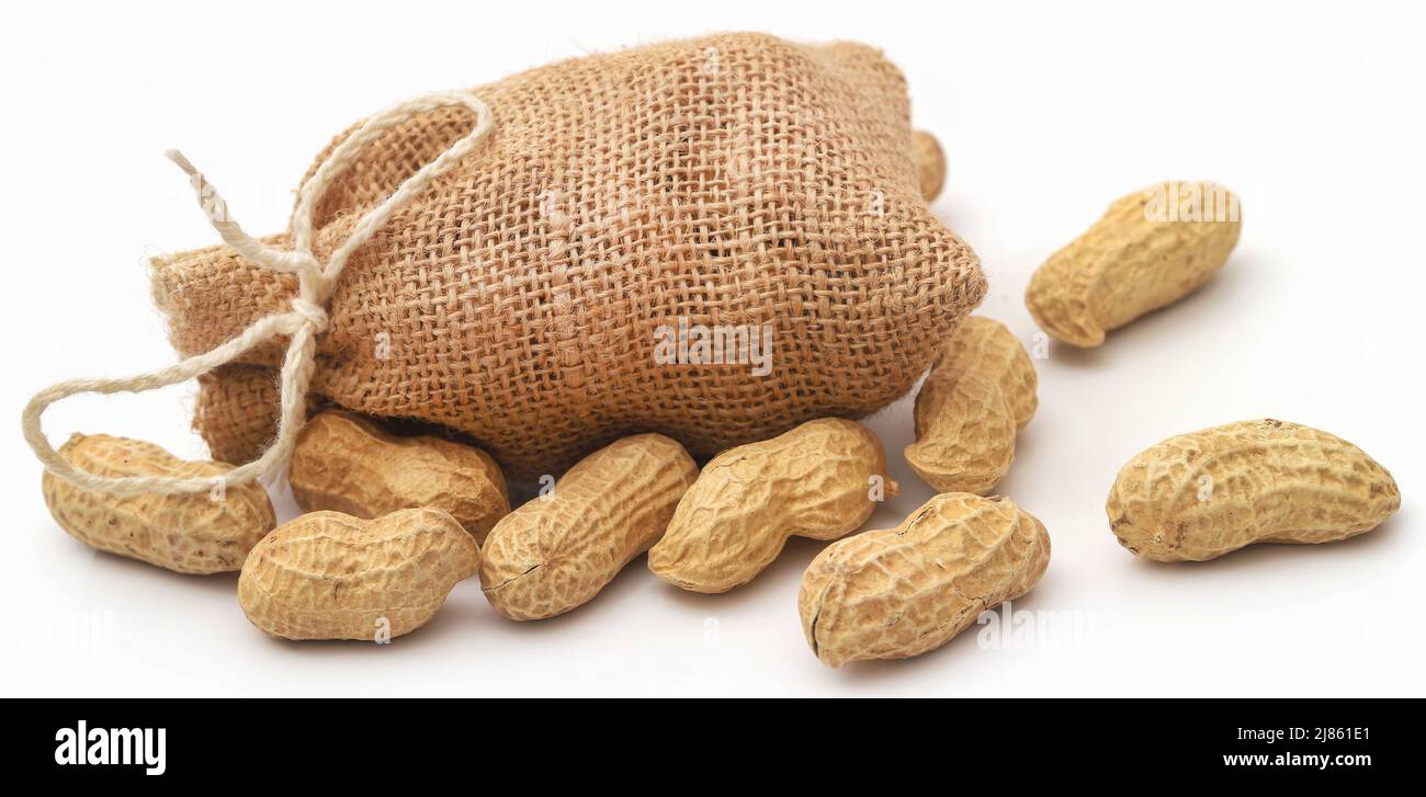 Fresh Peanuts in sack over white background Stock Photo
