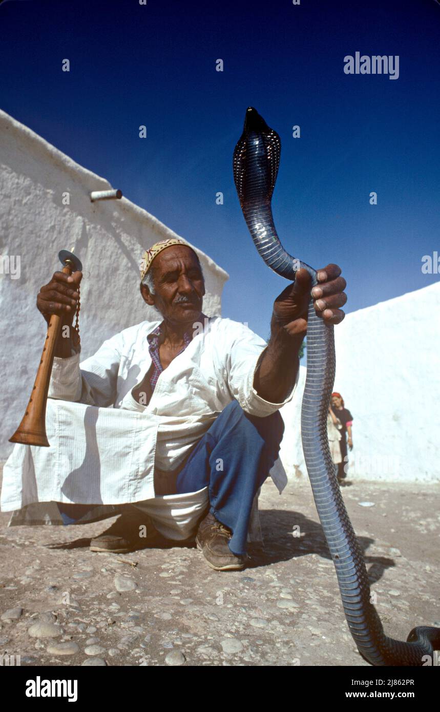 Snake charmer and Egyptian cobra Morocco Stock Photo Alamy