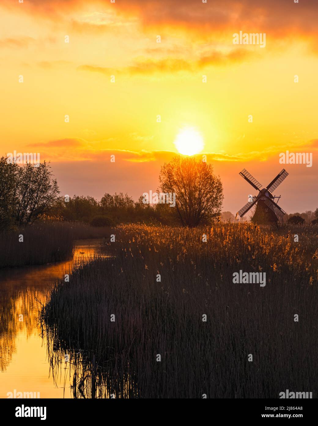 Sunrise at the Noordermolen (Northern Mill), in Noorddijk in the province of Groningen, Netherlands Stock Photo