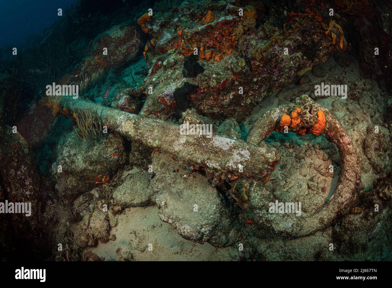 Anchor from HMS Proselyte, wrecked on the reef off the coast of Sint Maarten, Dutch Caribbean Stock Photo
