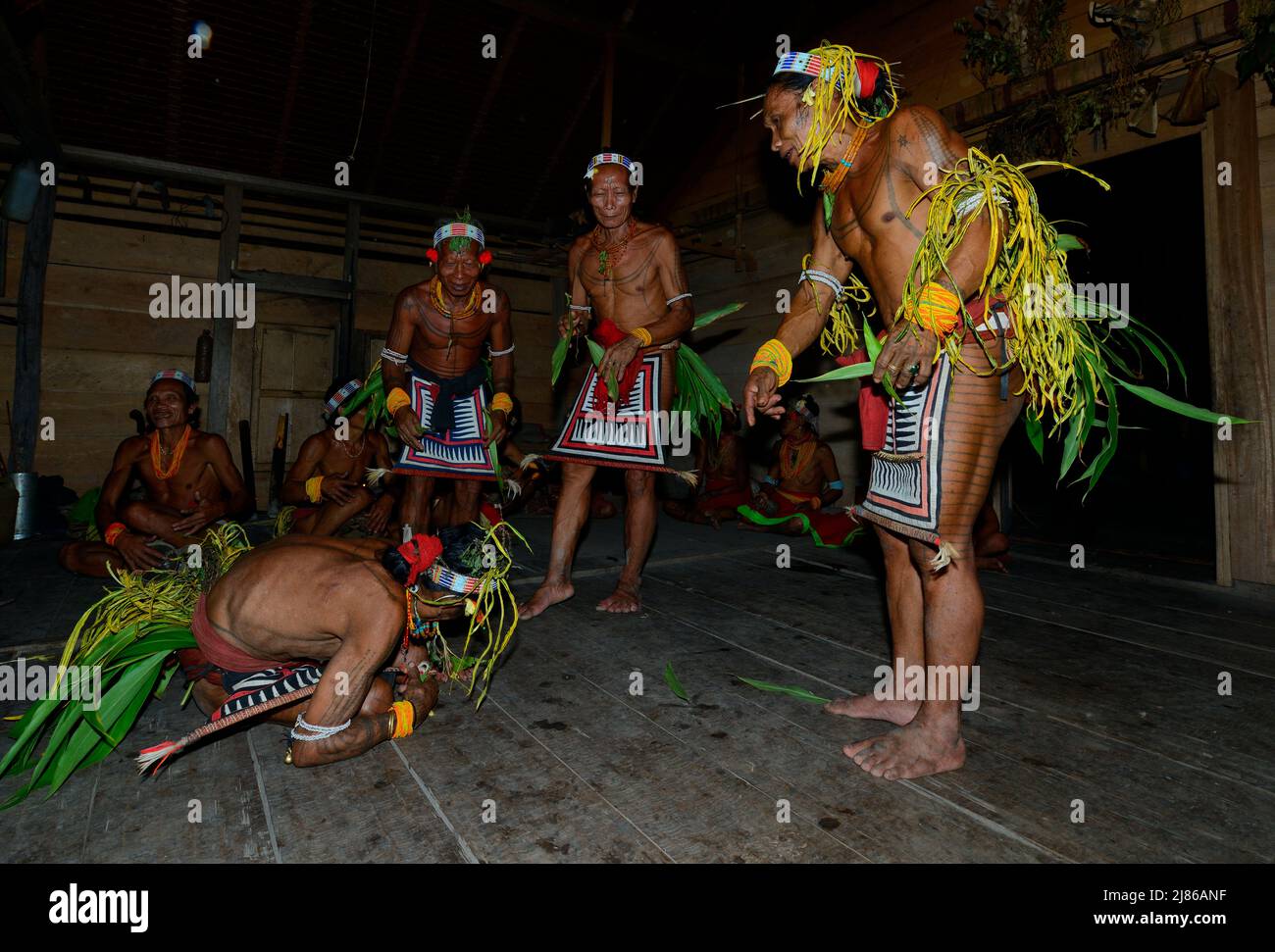 Ritual dance of Sikere (medicine men), Mentawai people, Siberut ...