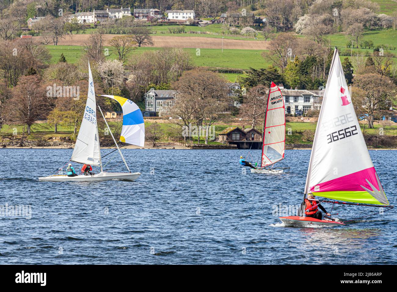 Colourful dinghies sailing on Ullswater in the English Lake District, Cumbria, England UK Stock Photo