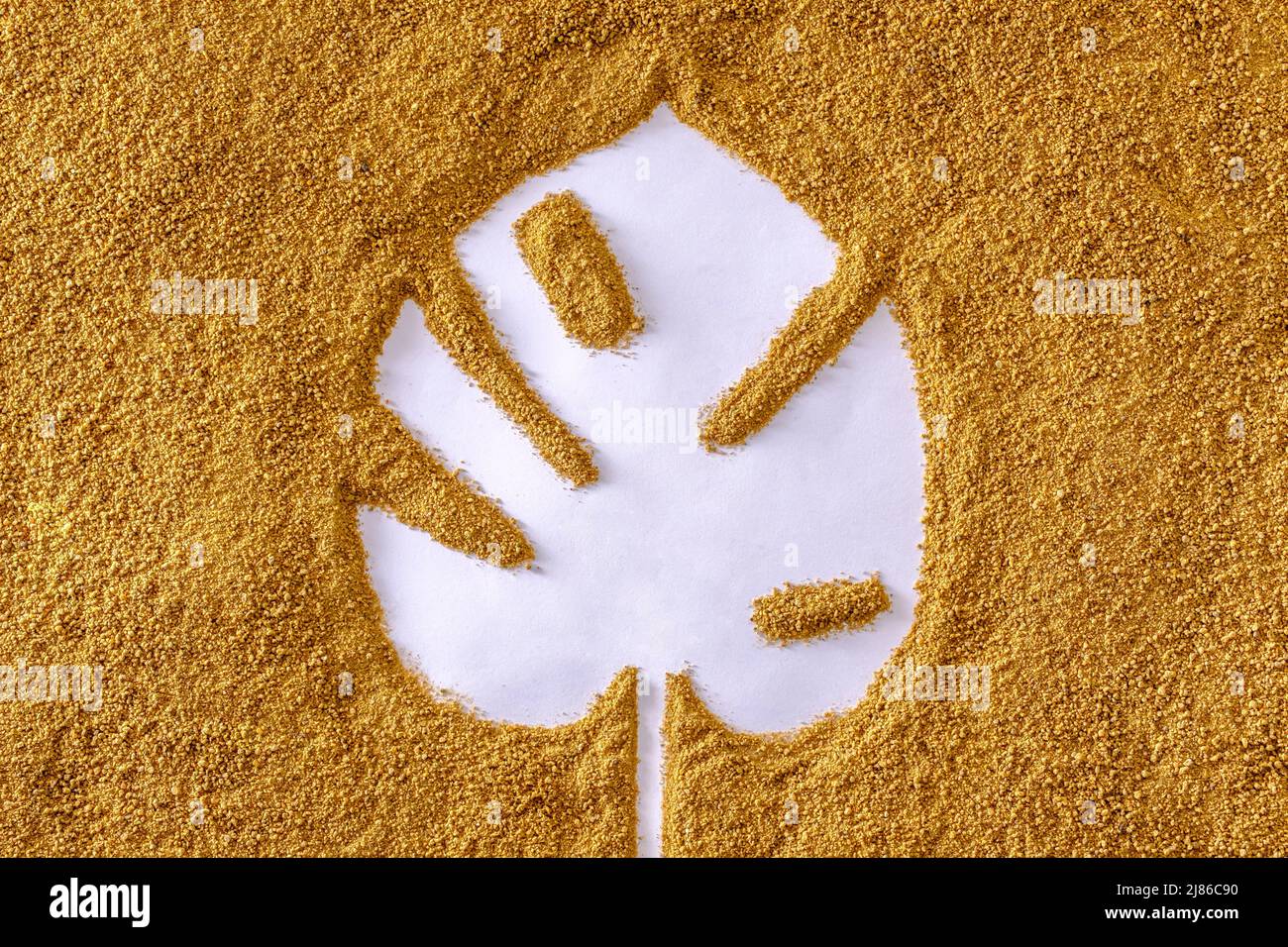 Negative space monstera leaf in the sand on the beach in summer. Texture trend tropics concept. Stock Photo