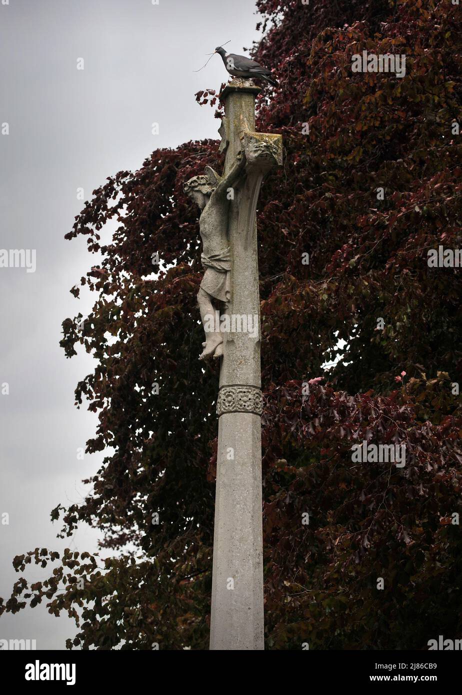 Pigeon on crucifix St Marys Church Masham North Yorkshire England UK Stock Photo