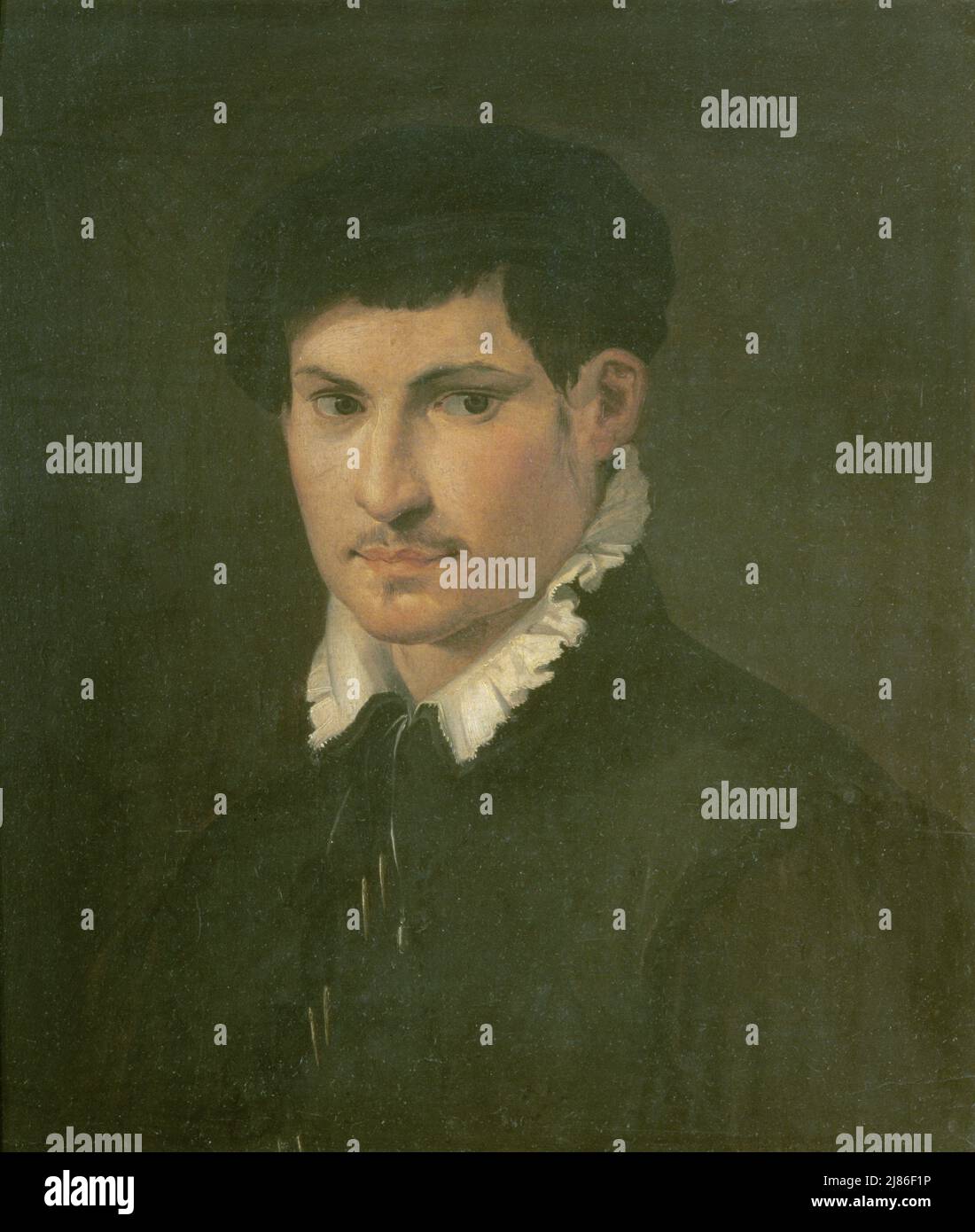 Portrait of a Young Man, c.1540 (oil on panel) by Abate, Nicolo dell' (c.1509-71); 47x41 cm; Galleria degli Uffizi, Florence, Tuscany, Italy; Italian,  out of copyright. Stock Photo