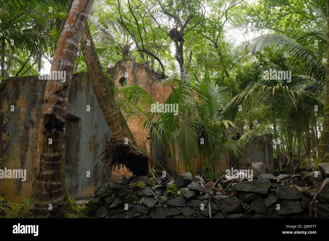 Prison of Ile SaintJoseph French Guiana Stock Photo Alamy