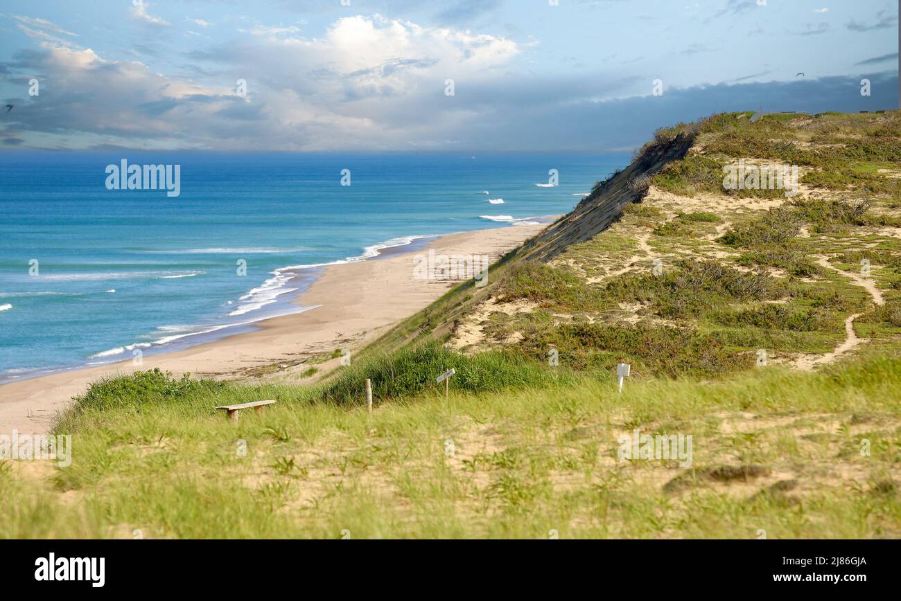 Are Dogs Allowed At Cape Cod National Seashore