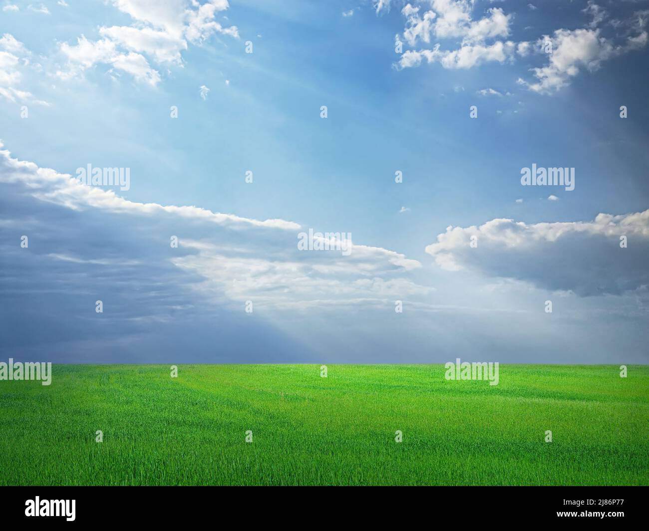 Field of green grass under blue sky with dramatic clouds and sun beam ...