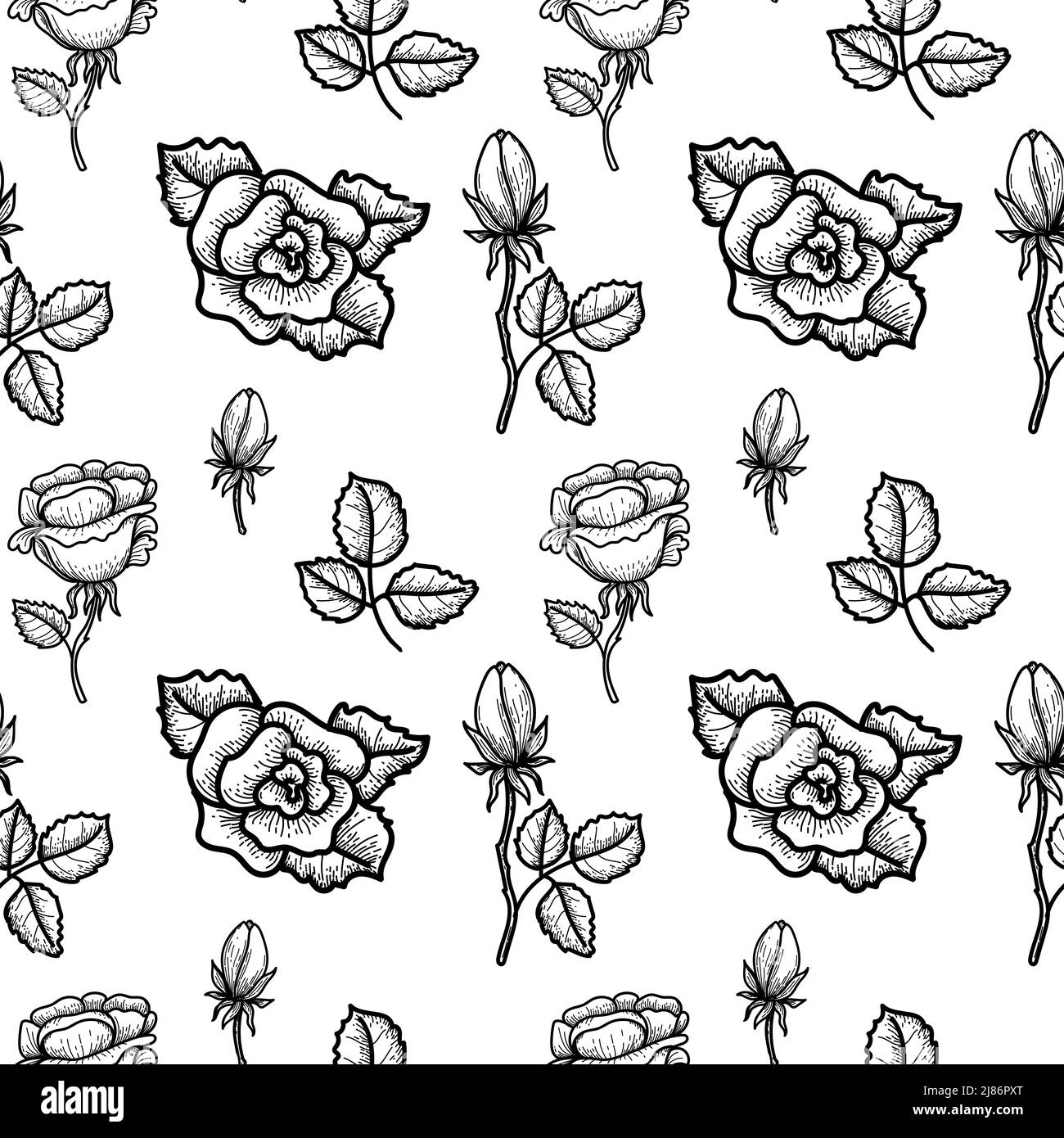 Doodled Roses A seamless, hand-drawn doodle drawing of a rose in sketch style. Roses ...