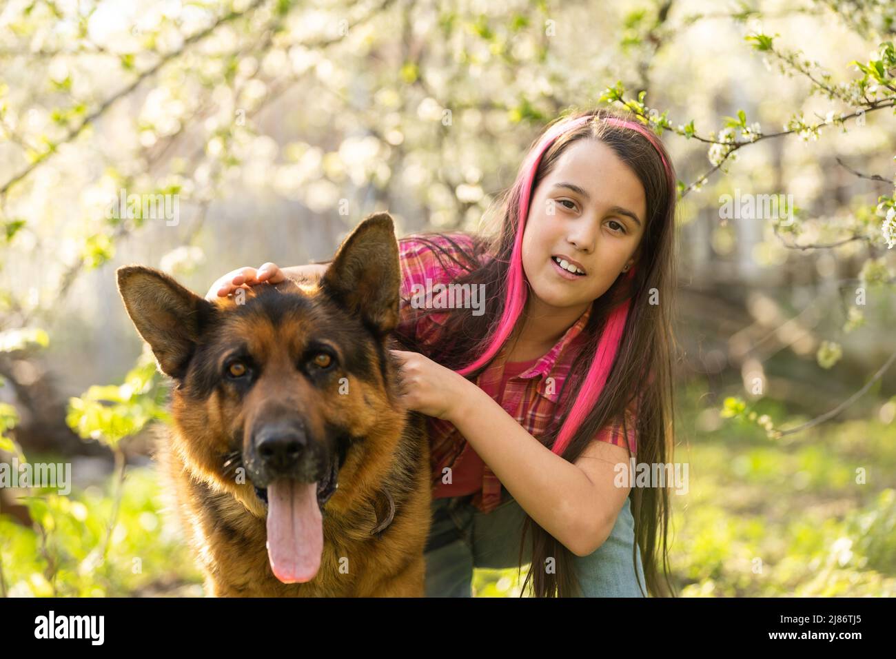 little girl with a dog, outdoor summer Stock Photo - Alamy
