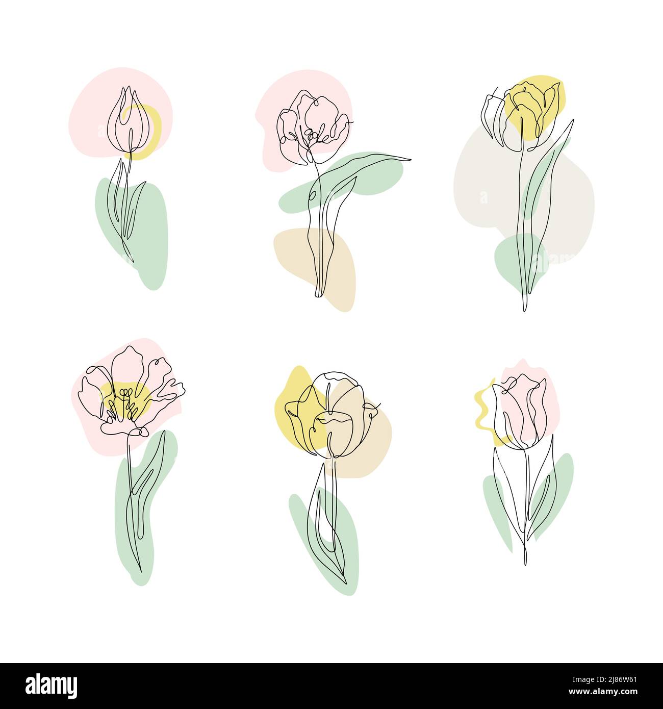 Set of one line drawing tulips. Hand drawn single line flowers with ...
