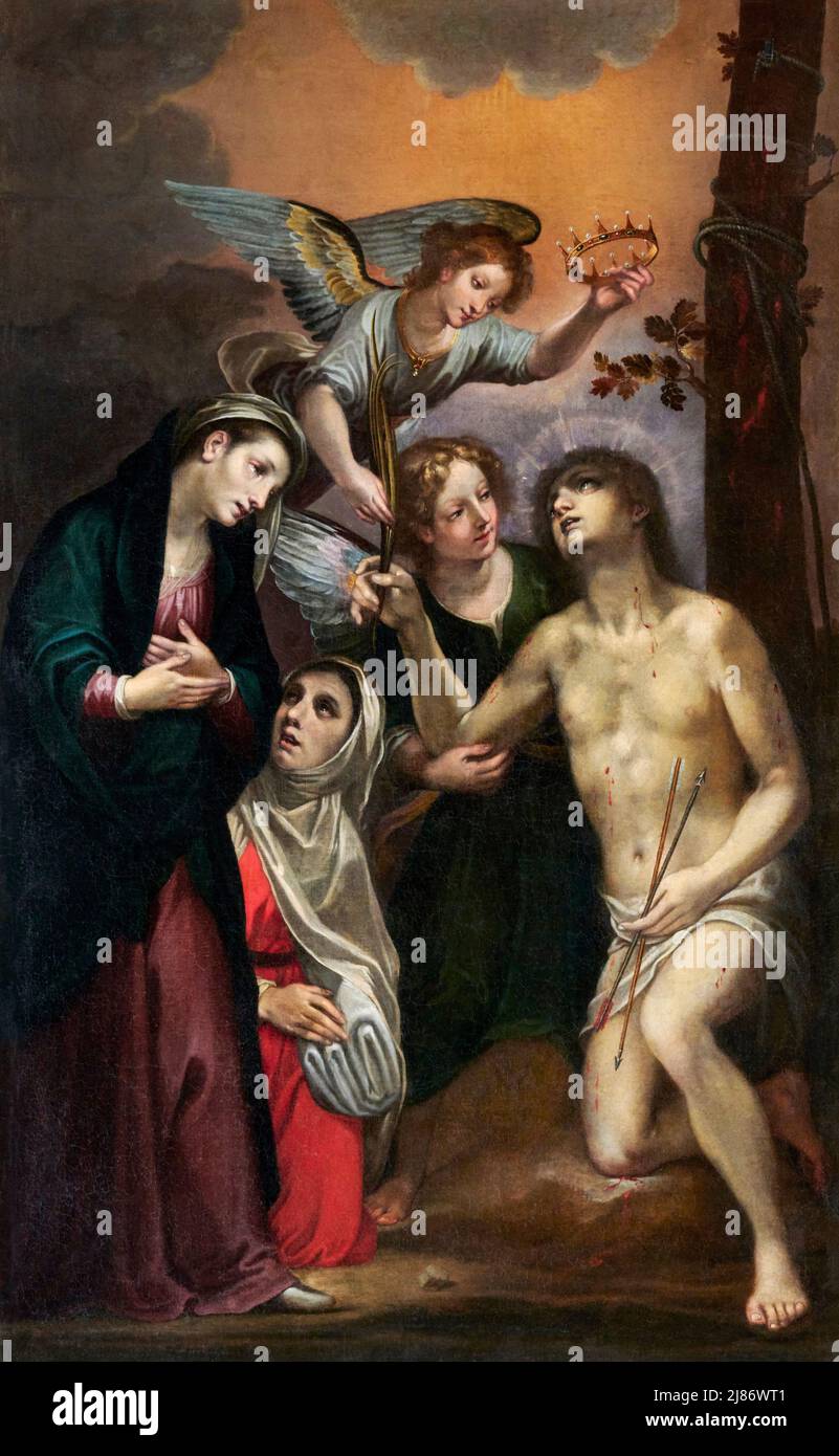 San Sebastiano  - olio su tela - attribuito ad Andrea Del Sarto - XVI secolo - Montepulciano (Si) ,Italia, Cattedrale  di S. Maria Assunta Stock Photo