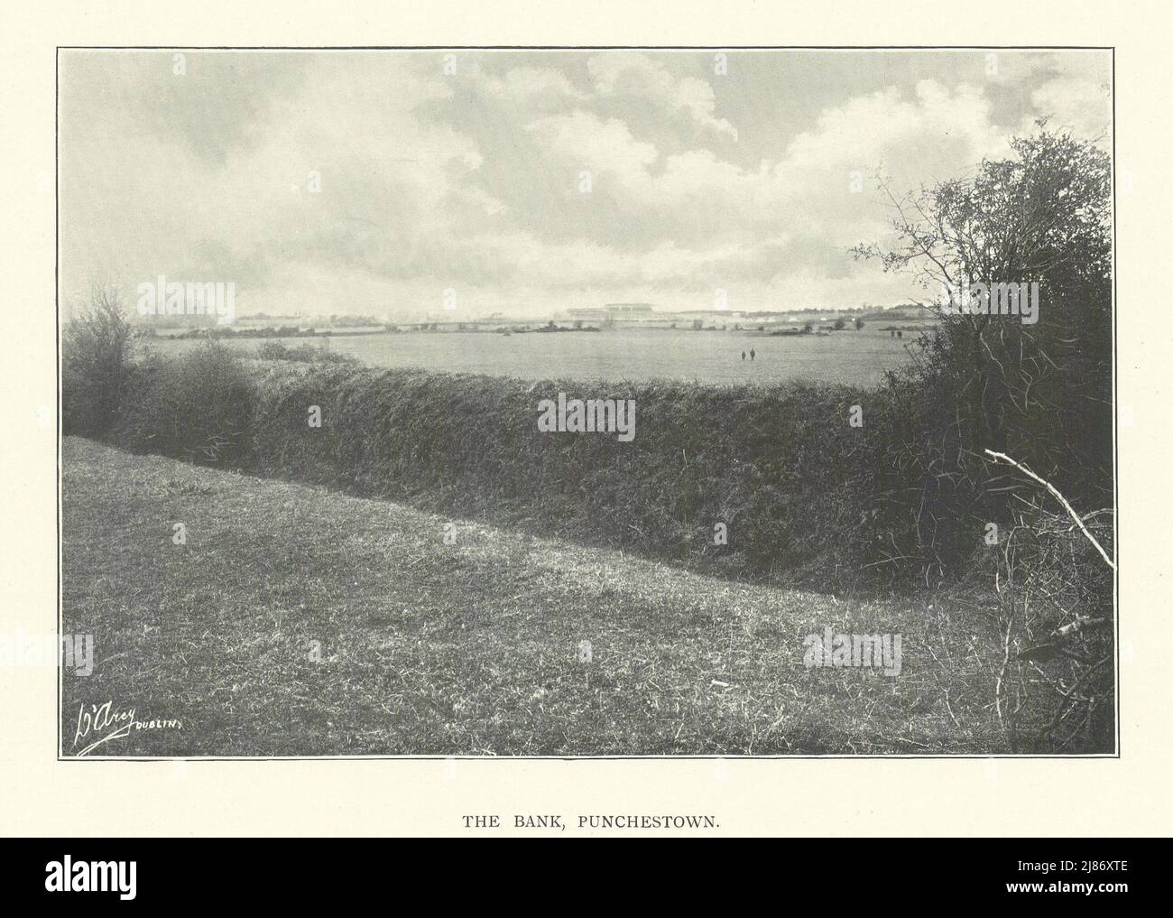 The Bank, Punchestown. Horse racing. Ireland 1903 old antique print picture Stock Photo