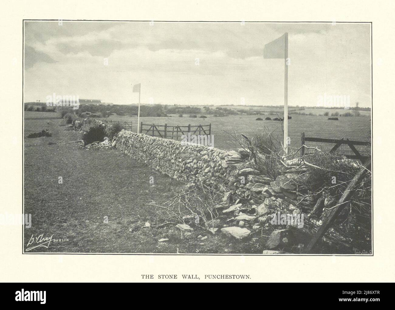 The Stone Wall, Punchestown. Horse racing. Ireland 1903 old antique print Stock Photo