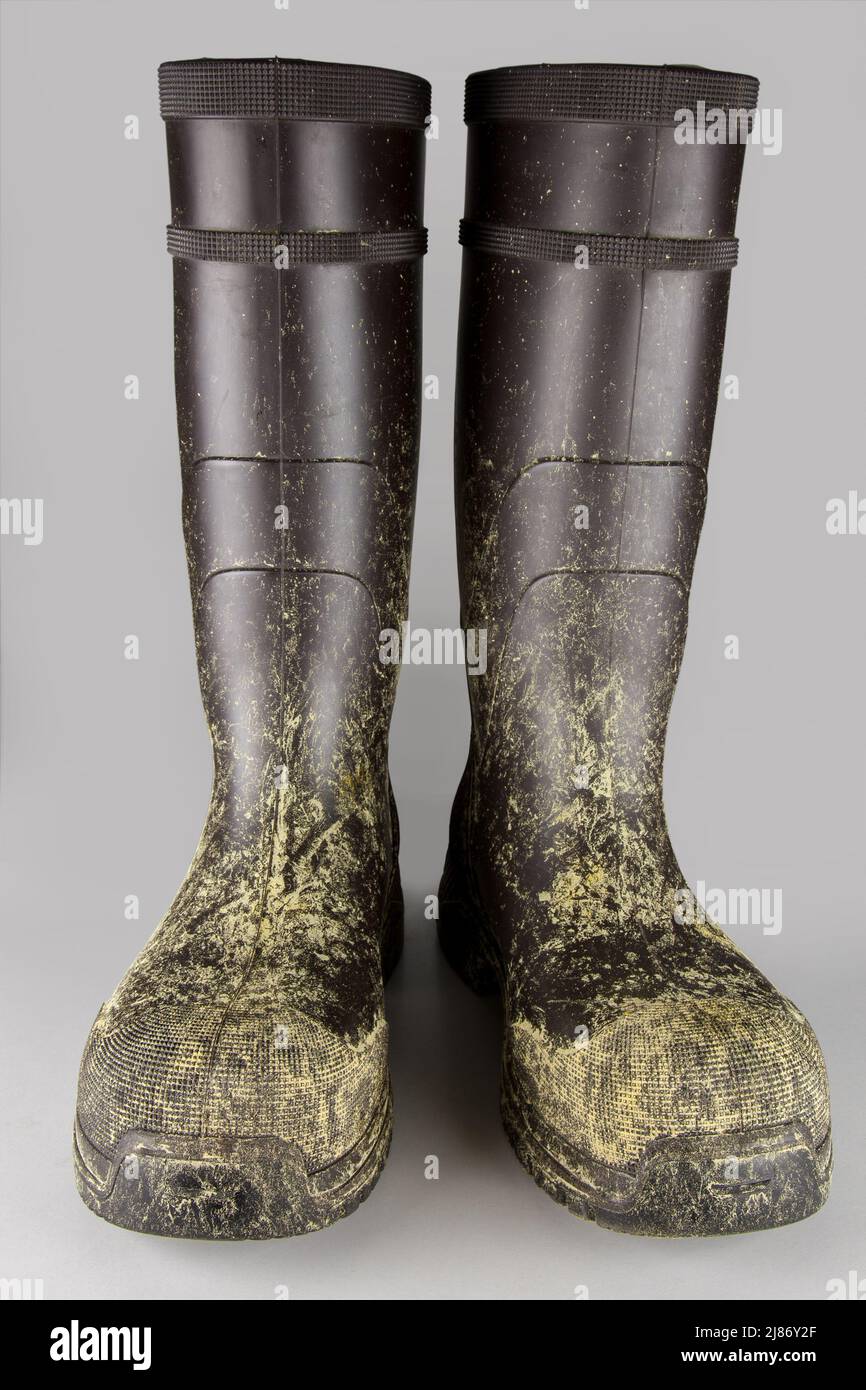 Brown rubber boots are covered with yellow pollen. The pollen from the dandelion in the meadow sticks to the boots in spring. Stock Photo