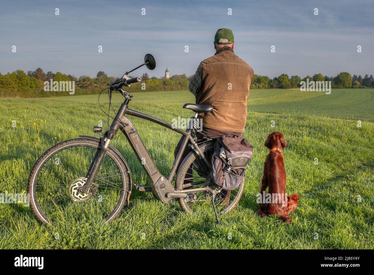 A man sits on the luggage rack of his bicycle in the sun on a green meadow. His Irish Setter dog is sitting in the grass next to him. Both look over t Stock Photo