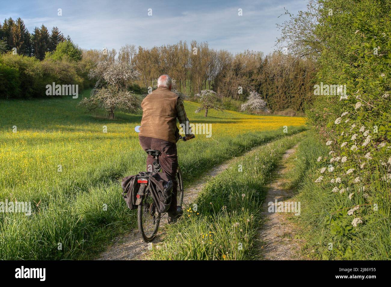 An elderly man rides his bike off-road on a dirt road through a beautiful flowering meadow valley. Stock Photo