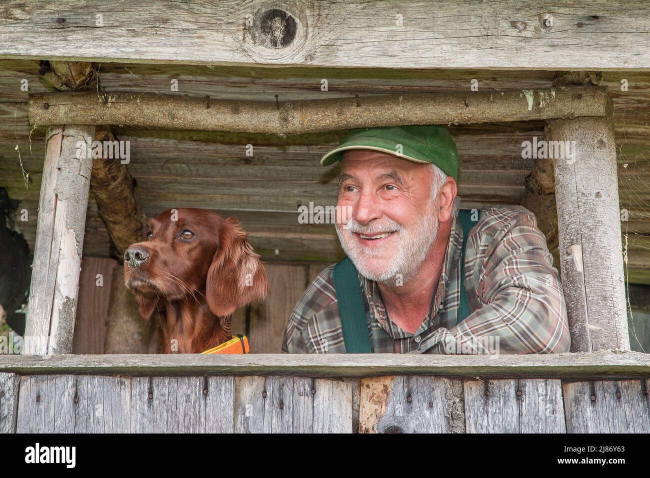 A hunter and his dog watch the passing game from the hunting pulpit and have fun together. Stock Photo