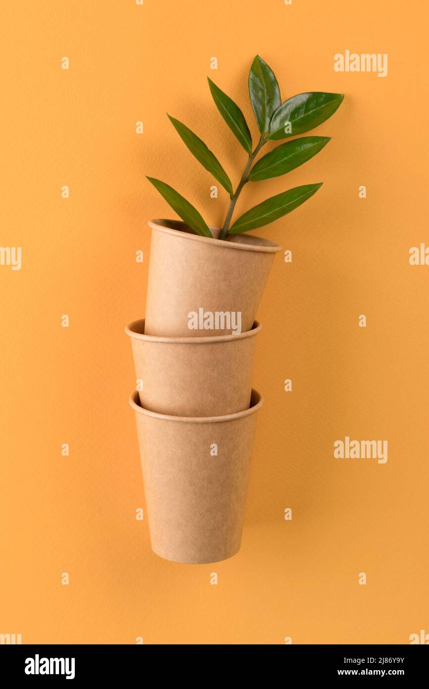 Vertical mockup image of kraft paper coffee cups with green leaves inside biodegradable